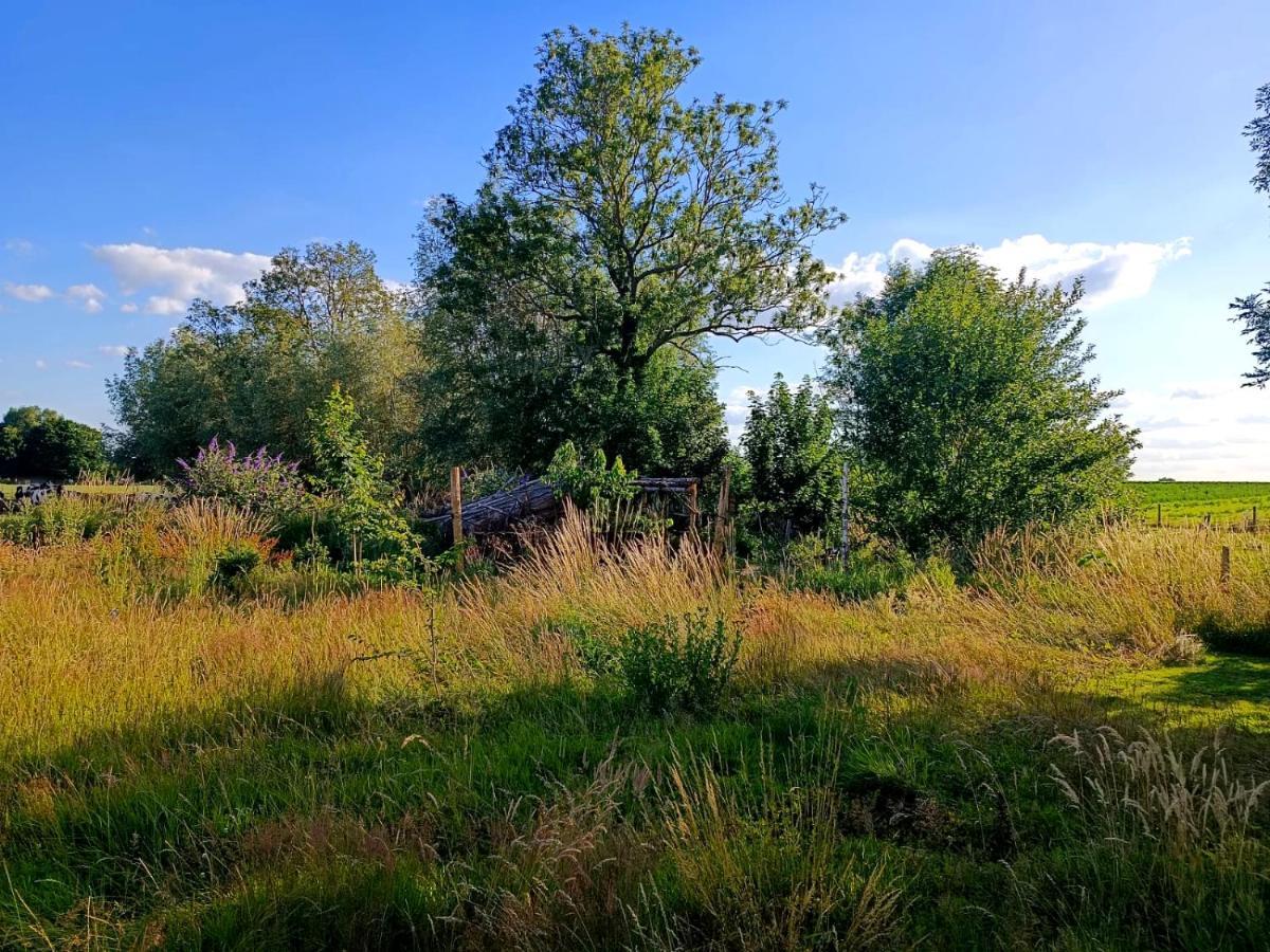 Au Pied Du Trieu, The Glamping Experience Labroye Exterior foto