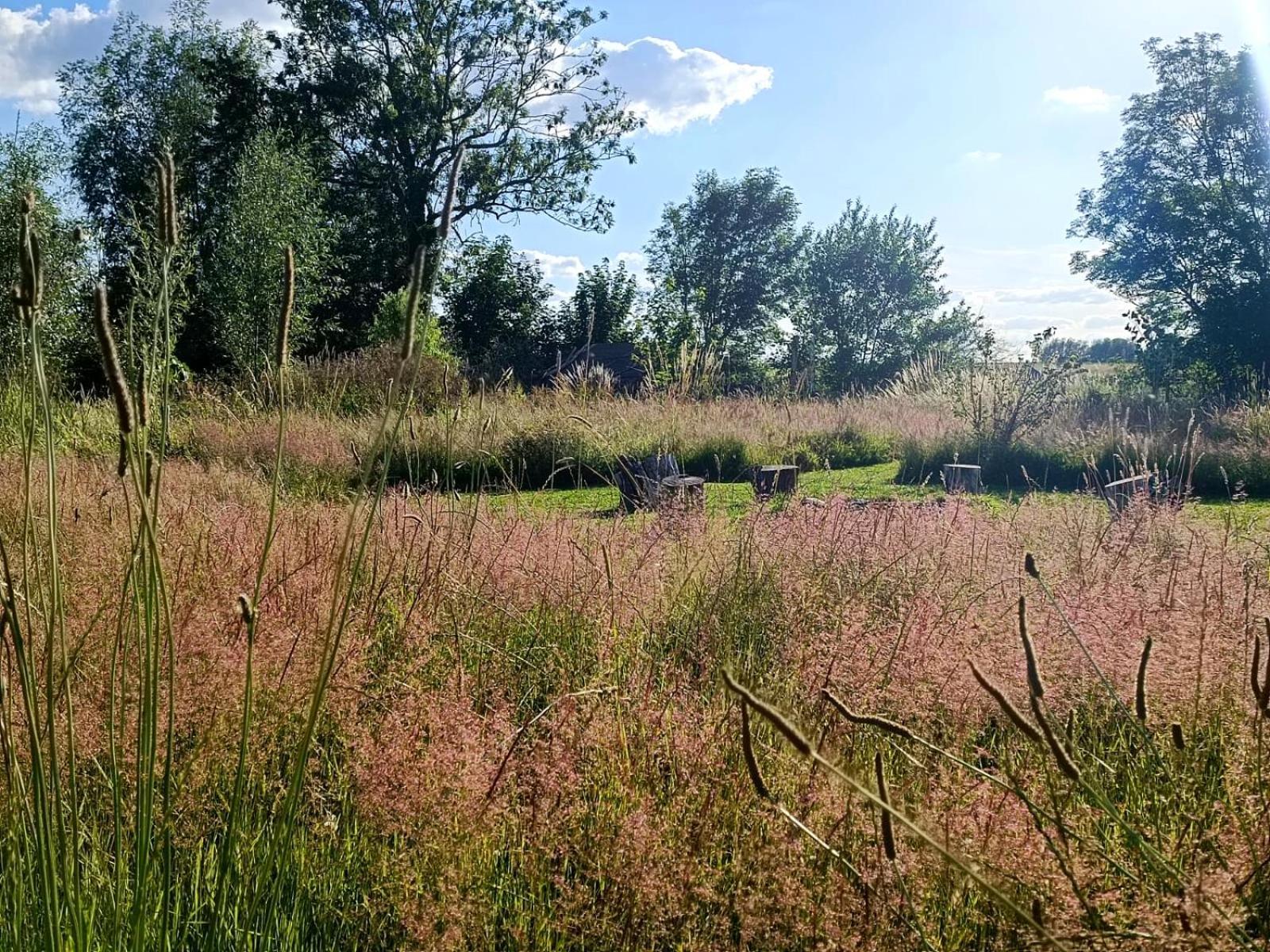Au Pied Du Trieu, The Glamping Experience Labroye Exterior foto
